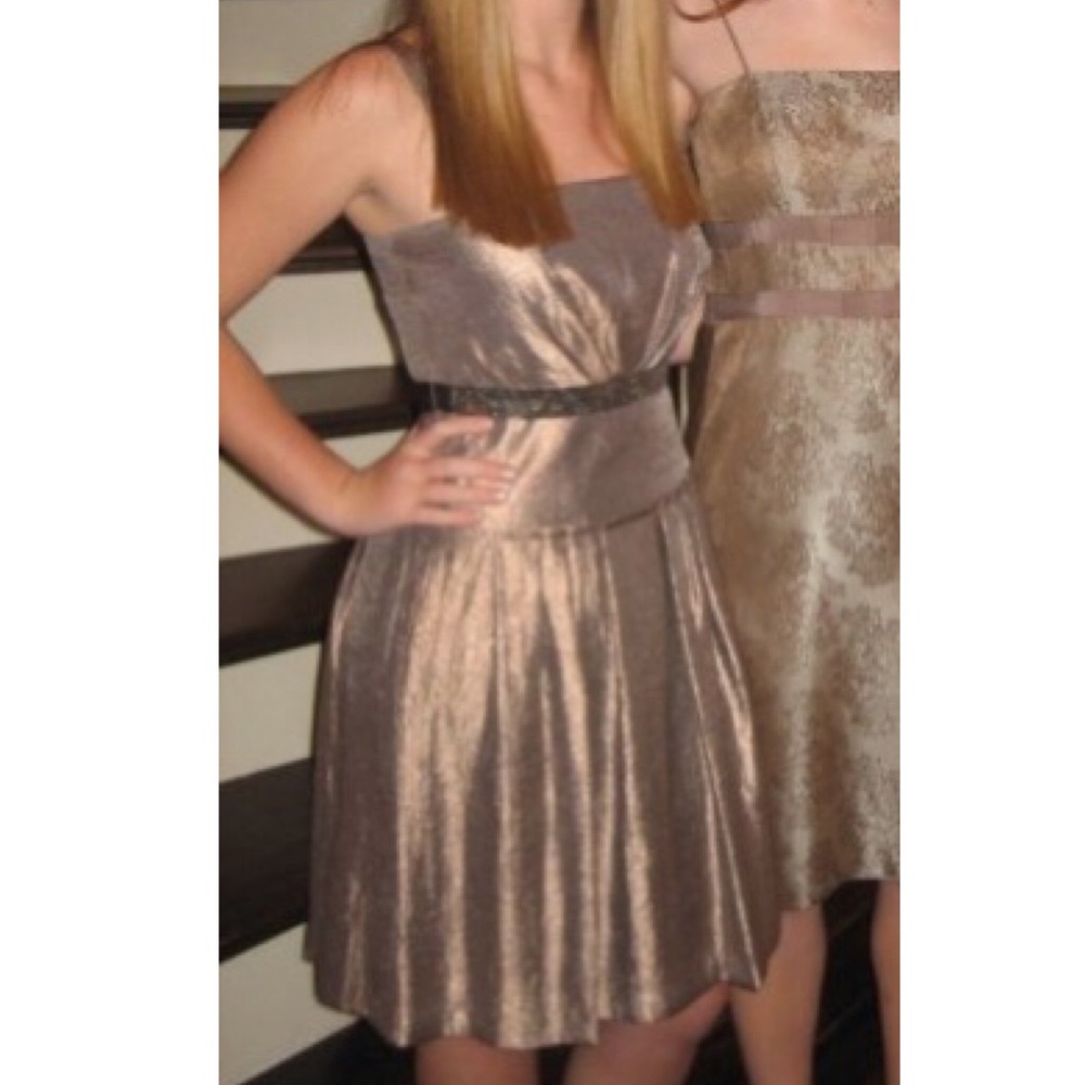 Metallic Vera Wang Dress
